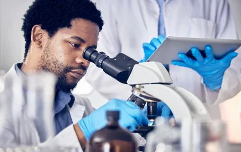 Black man, scientist and microscope with science research in laboratory, data Stock Photos