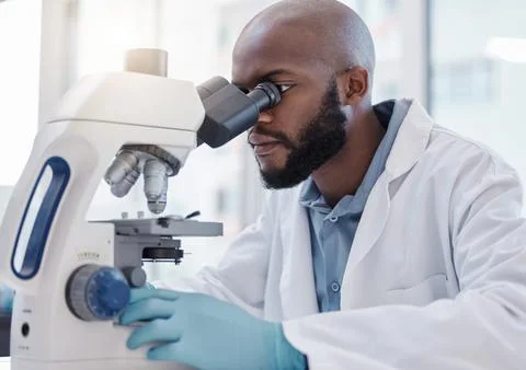 Black man, scientist and microscope in laboratory for science research, data Foto stock