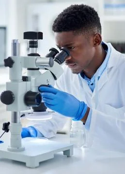 Black man, scientist and microscope in lab with analysis for test sample, e.. Stock Photos