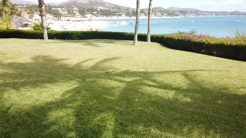 Black man smiling in front of hammock Stock Footage 113935987
