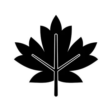 Black Maple Leaf icon isolated on white background. Vector illustration Stock Illustration