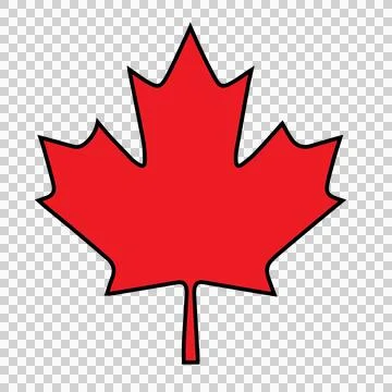 Black Maple Leaf Silhouette Shape white nature and symbol 库存插图