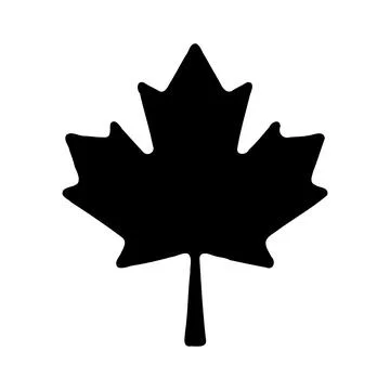 Black Maple Leaf Silhouette on White Background Illustrazione stock