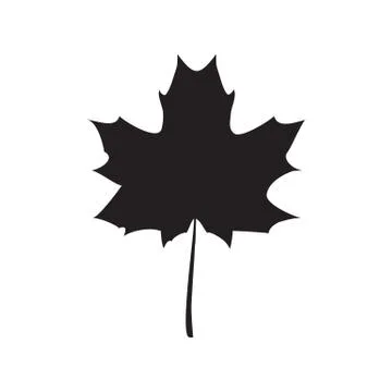Black Maple leaf vector illustration Stock Illustration