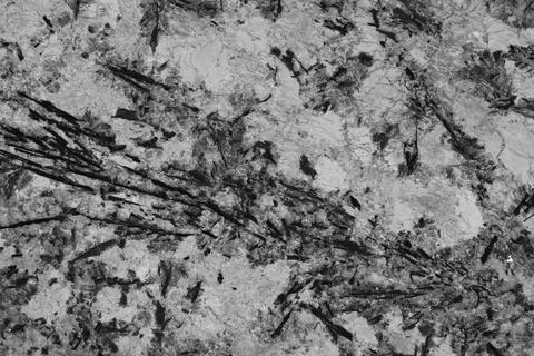 Black marble natural pattern for background, abstract black and white Stock Photos