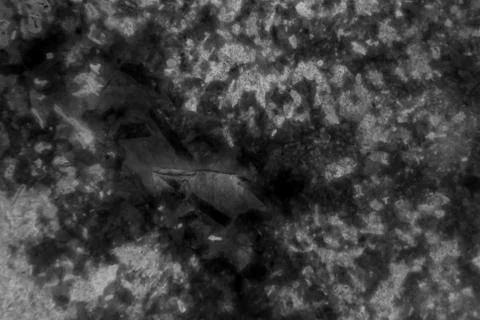 Black marble patterned texture background. Foto stock