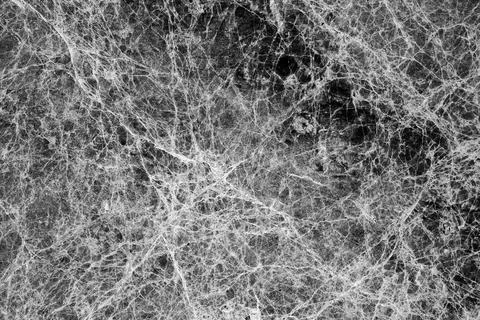 Black marble stone texture with gray and white veins. Natural background phot Stock Photos