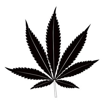 Black marijuana leaf on white background 스톡 일러스트