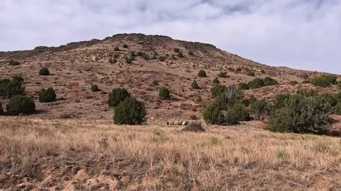 Black Mesa State Park, Kenton, Oklahoma, USA. November 6, 2025. Stock Footage 324924829