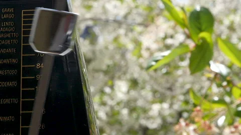 Black metronome on the background of a cherry tree in bloom 스톡 동영상 131067782