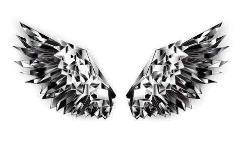 Black mirror wings Stock Illustration