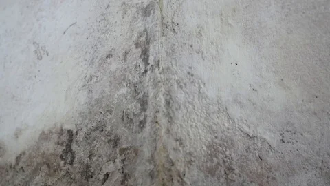 Black moisture and cracks on the wall Stock Footage 88784365