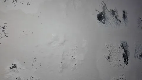Black Mold and Peeling Paint on White Wall Damaged Stock Footage 335190393