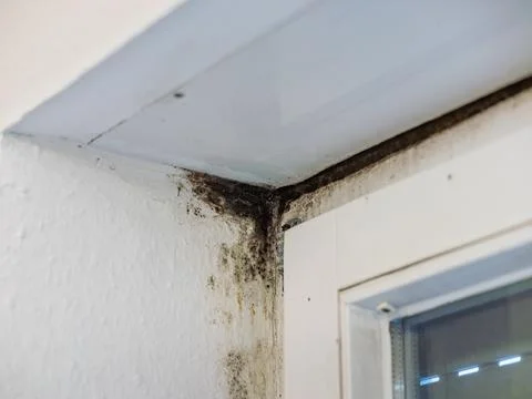 Black Mold at the Corner of a Window Frame Stock Photos