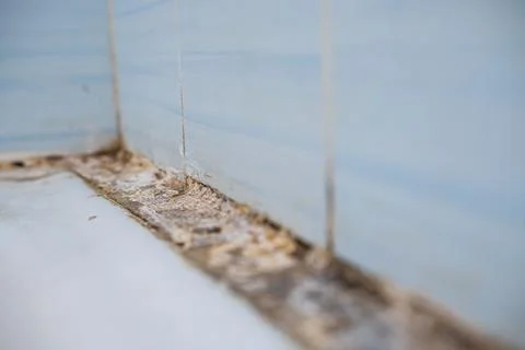 Black mold damage to bathroom. Selective focus Stock Photos