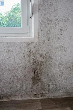 Black Mold Growing Under Window and on Side Wall Foto stock