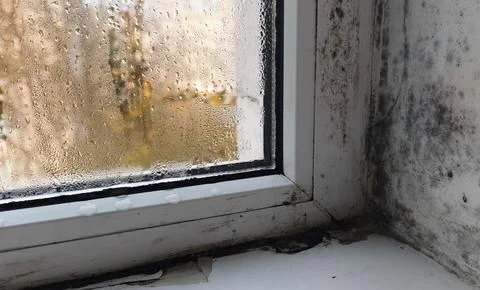 Black mold grows in the corner of a plastic window, Stock Photos