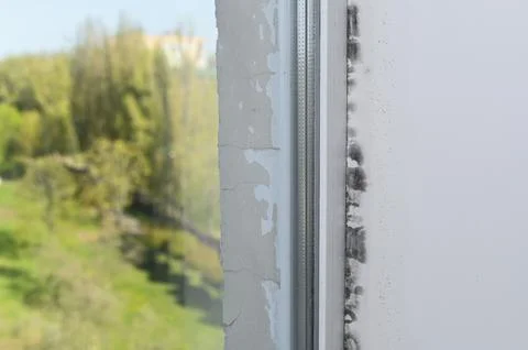 Black mold grows on damaged window slope in house. Stock-Fotos