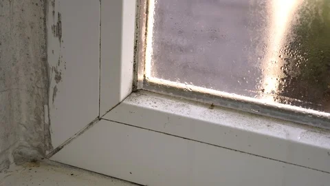 Black mold growth on window frame. Condensation on the glass. Moisture and Mold Video stock 121998557