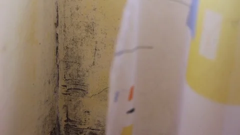Black Mold Symptoms Stock Footage