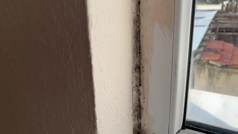Black Mold on Window Corner Damp Wall Mildew Moisture Damage Indoor Health Ha Stock Footage 331573413