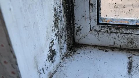 Black Mold on Window Sill and Frame Corner Stock Photos