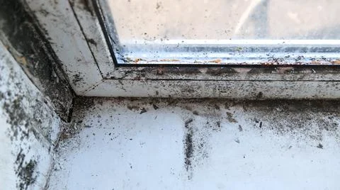 Black Mold on Window Sill and Frame Corner Stock Photos