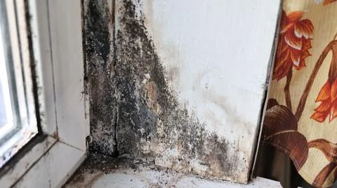 Black Mold on Window Sill and Frame Corner Stock Photos