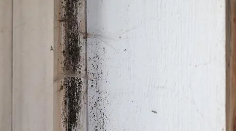 Black Mold on Window Sill and Frame Corner Stock Photos