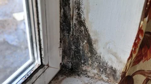 Black Mold on Window Sill and Frame Corner Stock Photos