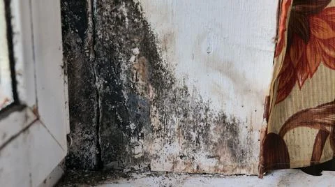 Black Mold on Window Sill and Frame Corner Stock Photos