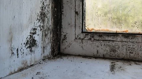 Black Mold on Window Sill and Frame Corner Stock Photos