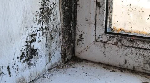 Black Mold on Window Sill and Frame Corner Stock Photos