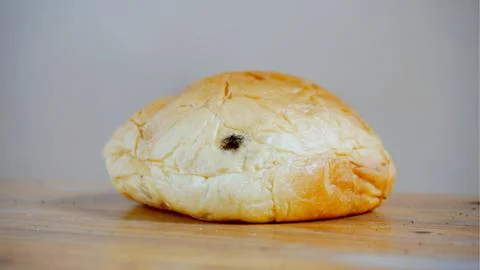 Black moldy bread Stock Photos