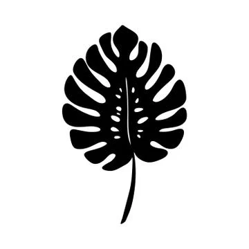 Black Monstera leaf vector. Tropical tree. Minimalist botanical outline. Jungle Stock Illustration