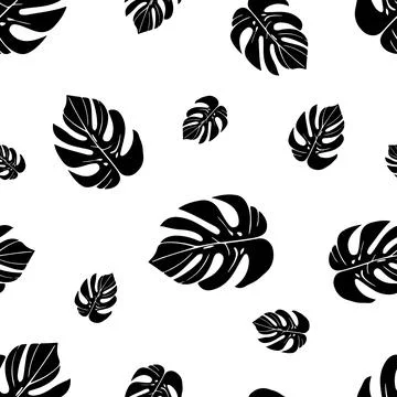 Black Monstera leaves pattern on white background vector design for modern decor Stock Illustration