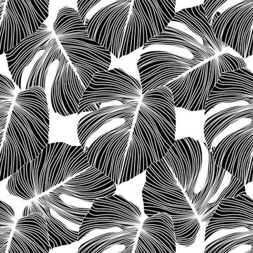 Black monstera leaves seamless pattern on white background. Stock Illustration
