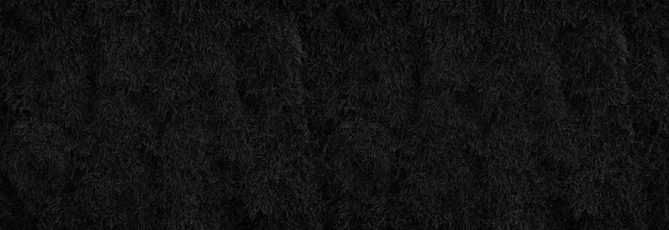 Black moss on tree trunk for background Stock Photos