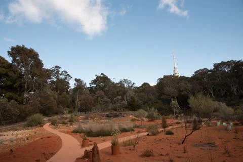 Black Mountain Tower Stock-Fotos