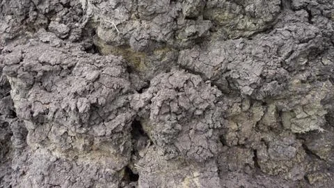 Black mud Stock Photos