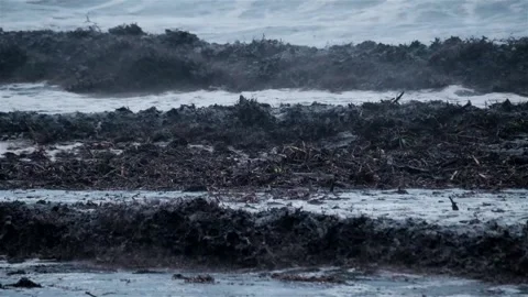Black muddy waves with debris crash onto a beach Stock Footage 251785711
