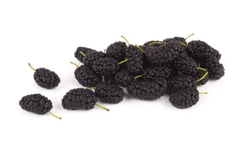 Black mulberries Stock Photos