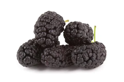 Black mulberries Stock Photos
