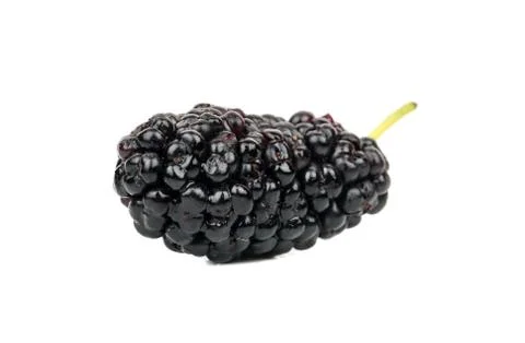 Black mulberry Stock Photos