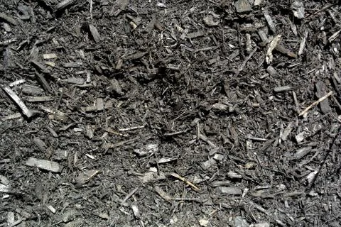 Black Mulch Stock Photos