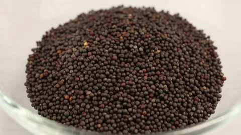 Black mustard seeds Stock Footage 123526669
