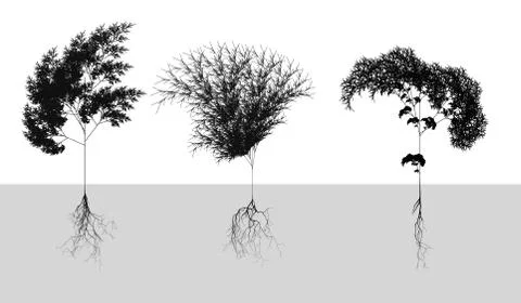 Black naturalistic cereals with root system - vector illustration Stock Illustration