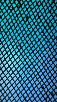 Black Net Pattern Background with Dreamy Gradient Colors Stock Illustration