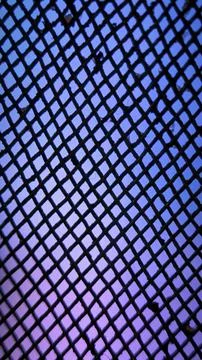 Black Net Pattern Background with Dreamy Gradient Colors Stock Illustration