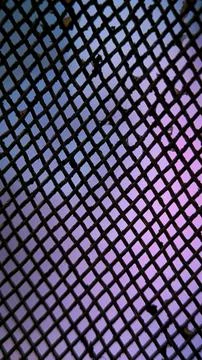 Black Net Pattern Background with Dreamy Gradient Colors Illustrazione stock